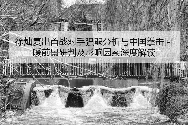 徐灿复出首战对手强弱分析与中国拳击回暖前景研判及影响因素深度解读